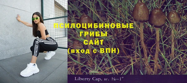 амф Новодвинск