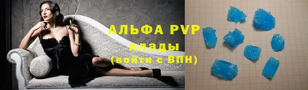 амф Новодвинск