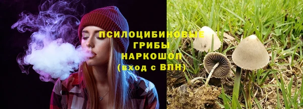 a pvp Нязепетровск